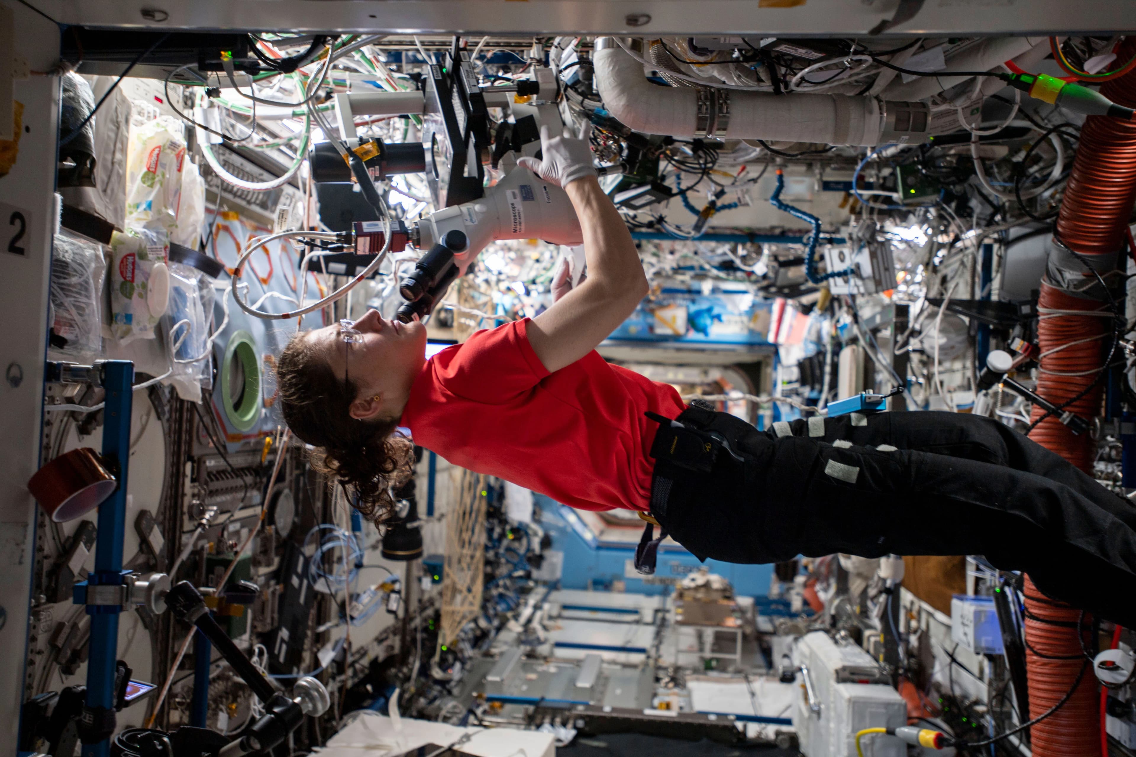 Lead image published by NASA