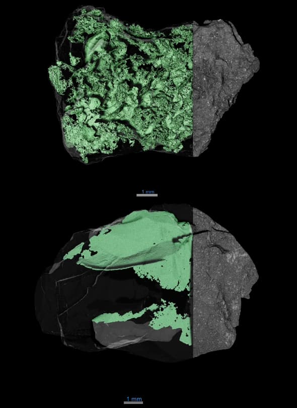 Lead image published by NASA